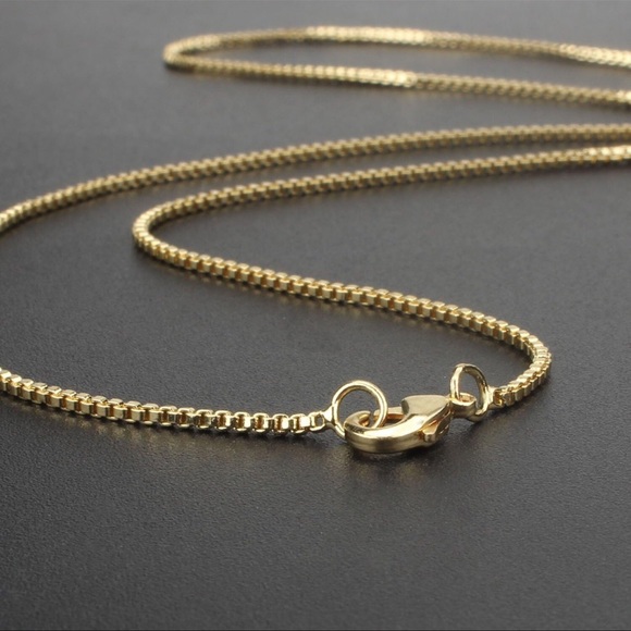 Wentletrap Shell on 14K Gold Plated Box Chain (16") - Picture 2 of 4